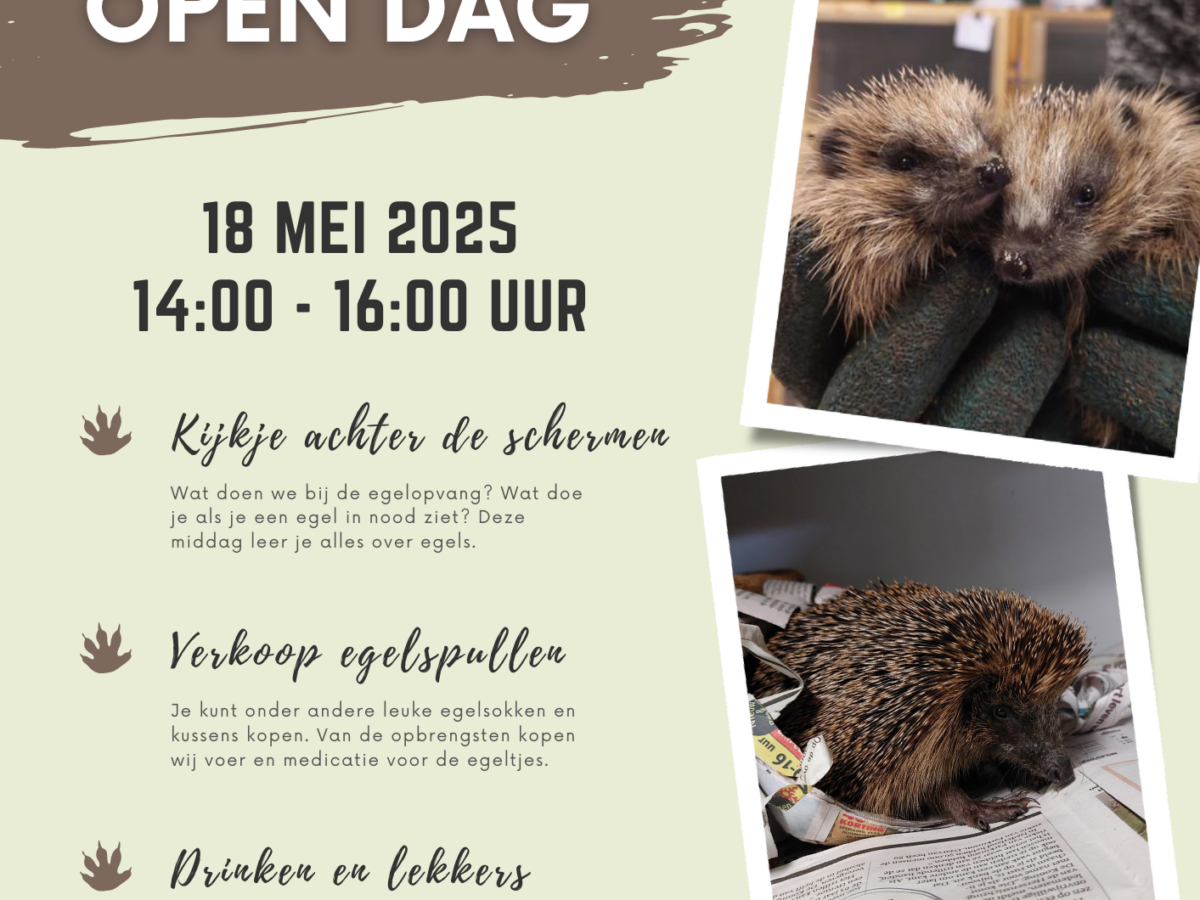 Open dag 18 mei