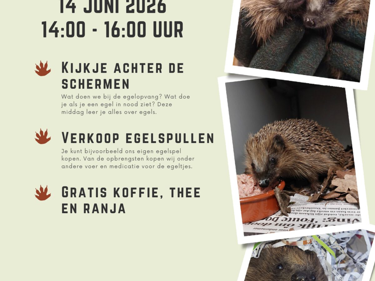 Open dag 14 juni
